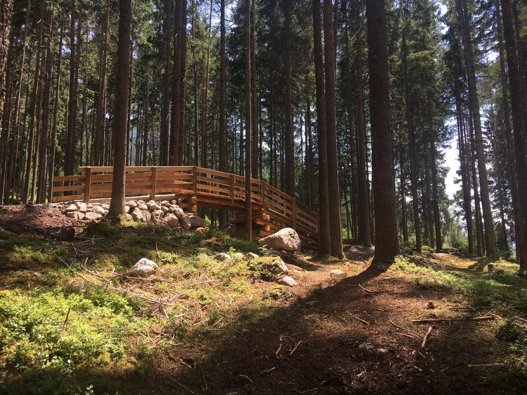 Handgebauter MTB-Trail mit Holzbrücke im Tiroler Bergwald
